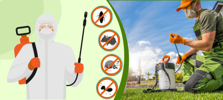 Emergency Pest Control Keysborough